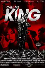 Call Me King 2017 WEB-DL Hindi Dual Audio Full Movie Download 720p | 480p poster | Bolly4u Official