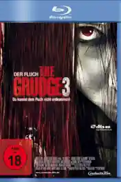 The Grudge 3 2009 BluRay 300Mb Hindi Dual Audio 480p poster | Bolly4u Official