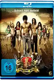 Fighting Beat 2007 BluRay 1GB Hindi Dual Audio 720p poster | Bolly4u Official