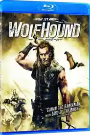 Wolfhound 2006 BRRip UNCUT 400MB Hindi Dubbed Dual Audio 480p poster | Bolly4u Official