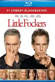 Little Fockers 2010 BRRip 850Mb Hindi Dual Audio 720p poster | Bolly4u Official