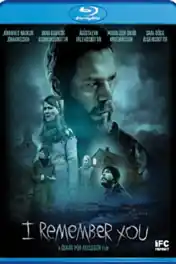 I Remember You 2017 BluRay Hindi Dual Audio Full Movie Download 720p | 480p poster | Bolly4u Official