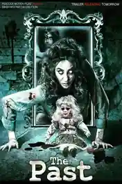 The Past 2018 WEB-DL 300MB Hindi 480p poster | Bolly4u Official