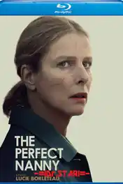 Perfect Nanny 2019 BluRay Hindi Dual Audio Full Movie Download 720p | 480p poster | Bolly4u Official