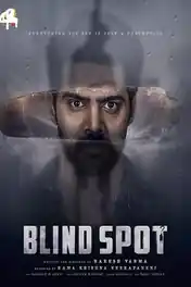 Blind Spot 2025 WEB-DL Hindi Dual Audio ORG Full Movie Download 1080p | 720p | 480p poster | Bolly4u Official
