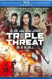 Triple Threat 2019 BRRip 300Mb English 480p ESub poster | Bolly4u Official