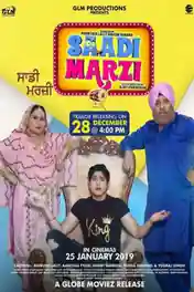 Saadi Marzi 2019 WEB-DL 300MB Punjabi 480p poster | Bolly4u Official