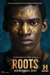 Roots Part 1 2016 BluRay 999MB Hindi Dual Audio 720p poster | Bolly4u Official