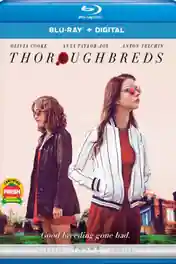 Thoroughbreds 2017 BluRay 850Mb English 720p ESub poster | Bolly4u Official