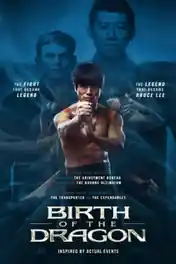 Birth Of The Dragon 2016 BluRay 300Mb Hindi Dual Audio 480p ESub poster | Bolly4u Official