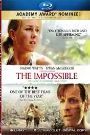 The Impossible 2012 BluRay 350MB Hindi Dual Audio 480p ESub poster | Bolly4u Official