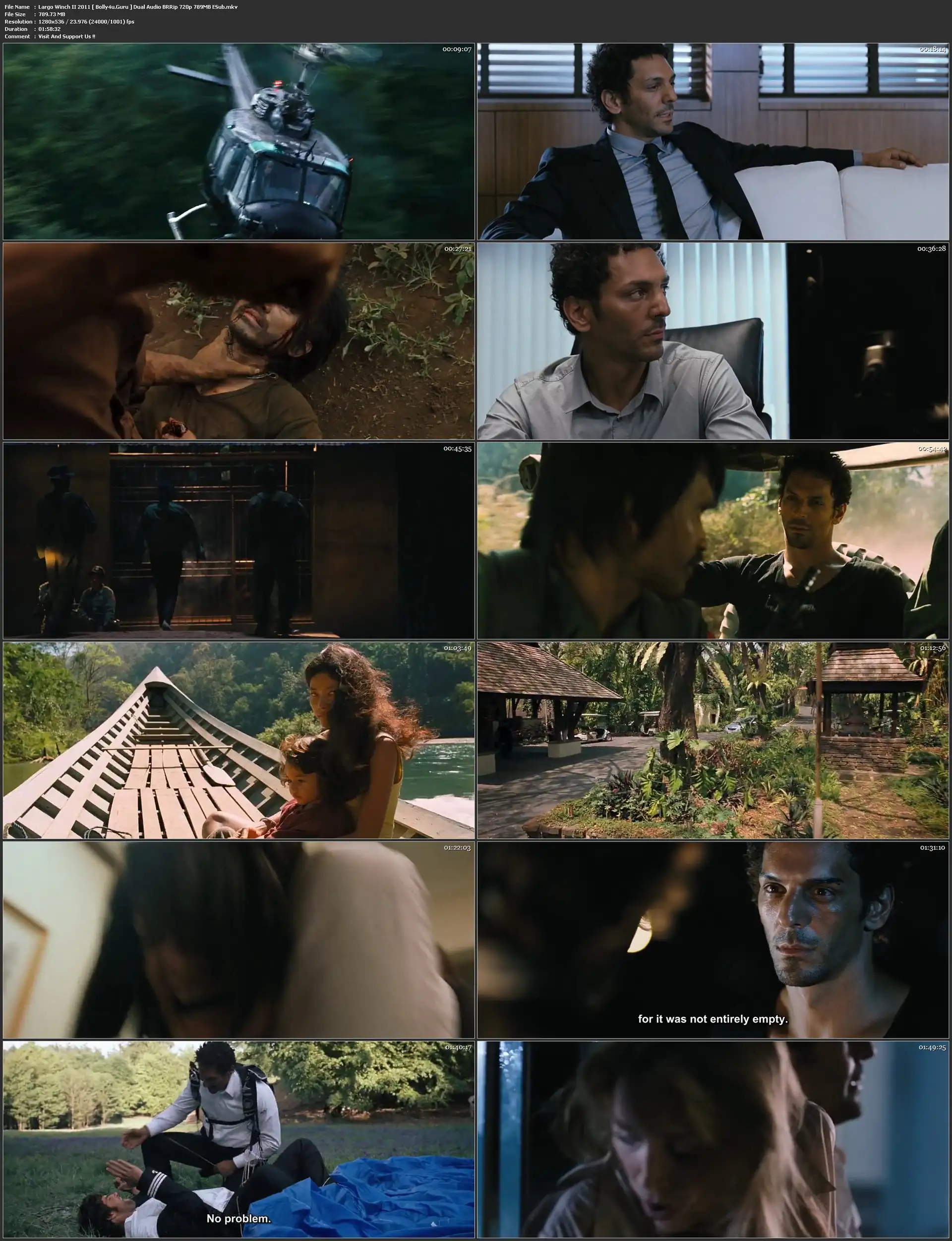 Largo Winch II 2011 BRRip 400MB Hindi Dual Audio 480p ESub download