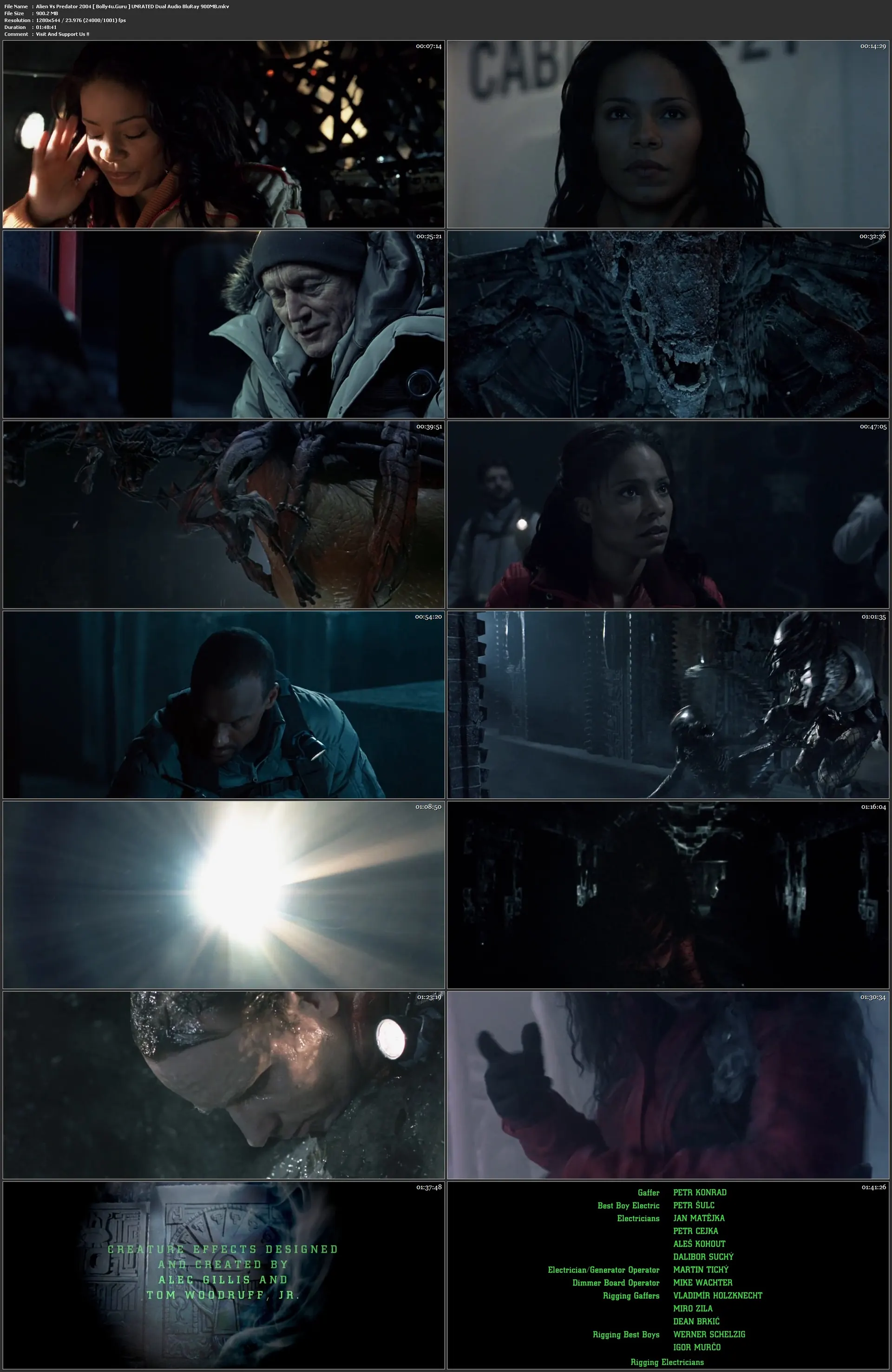 Alien Vs Predator 2004 BluRay 900MB UNRATED Hindi Dual Audio 720p Download