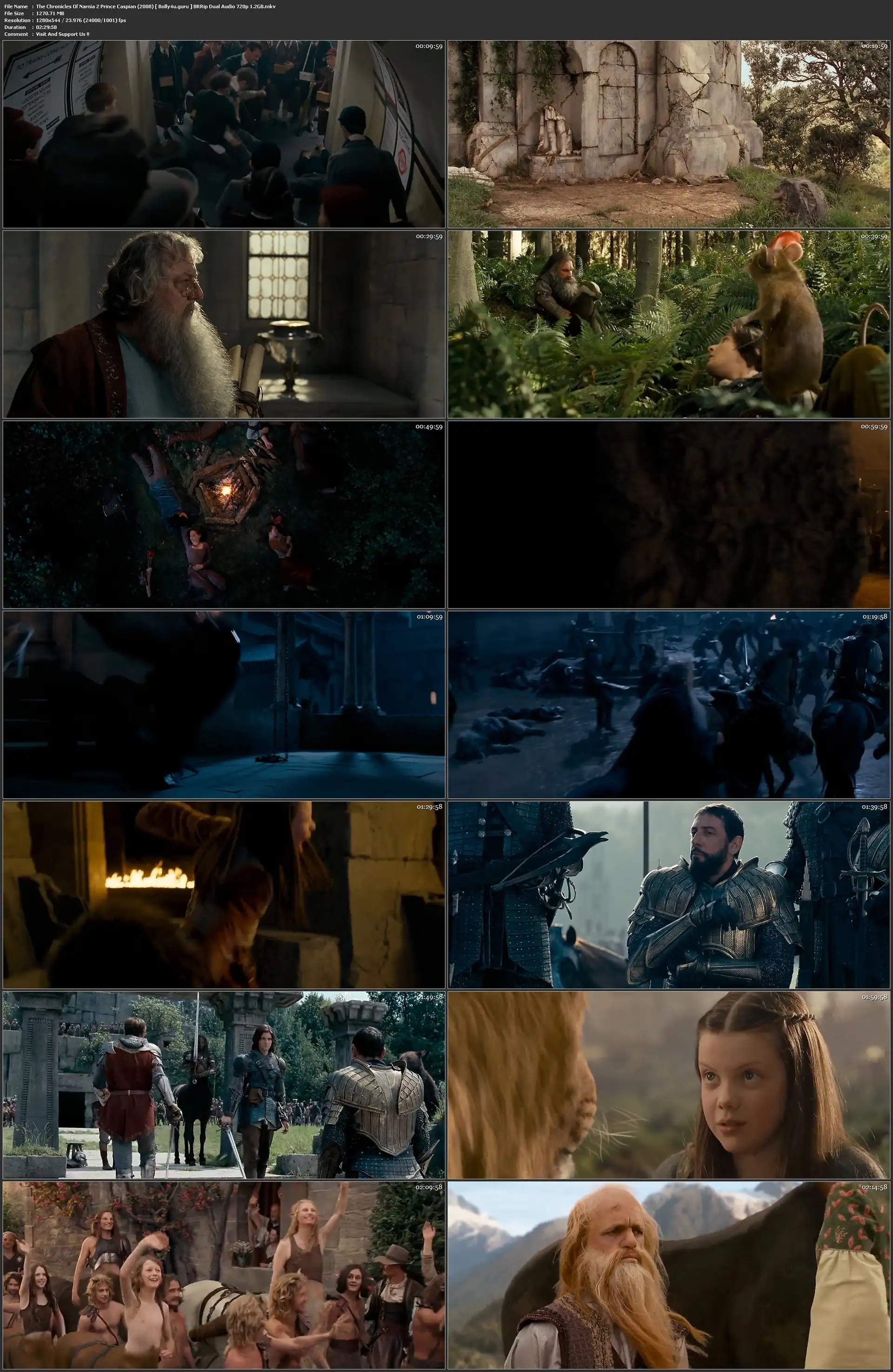 The Chronicles Of Narnia Prince Caspian 2008 BRRip 450MB Hindi Dual Audio 480p Download