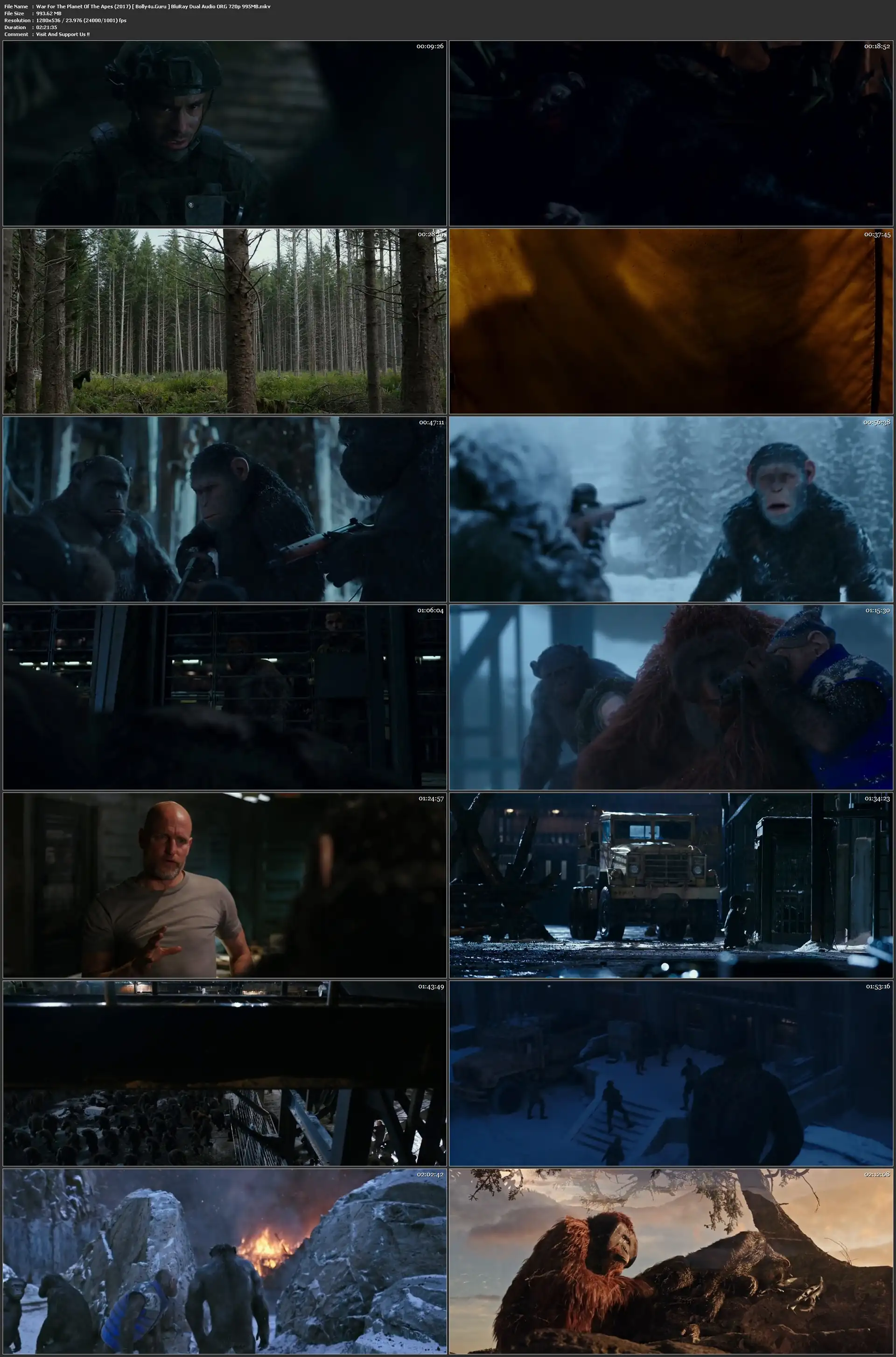 War For The Planet Of The Apes 2017 BluRay 950MB Hindi Dual Audio ORG 720p Download War For The Planet Of The Apes 2017 BluRay 950MB Hindi Dual Audio ORG 720p Download
