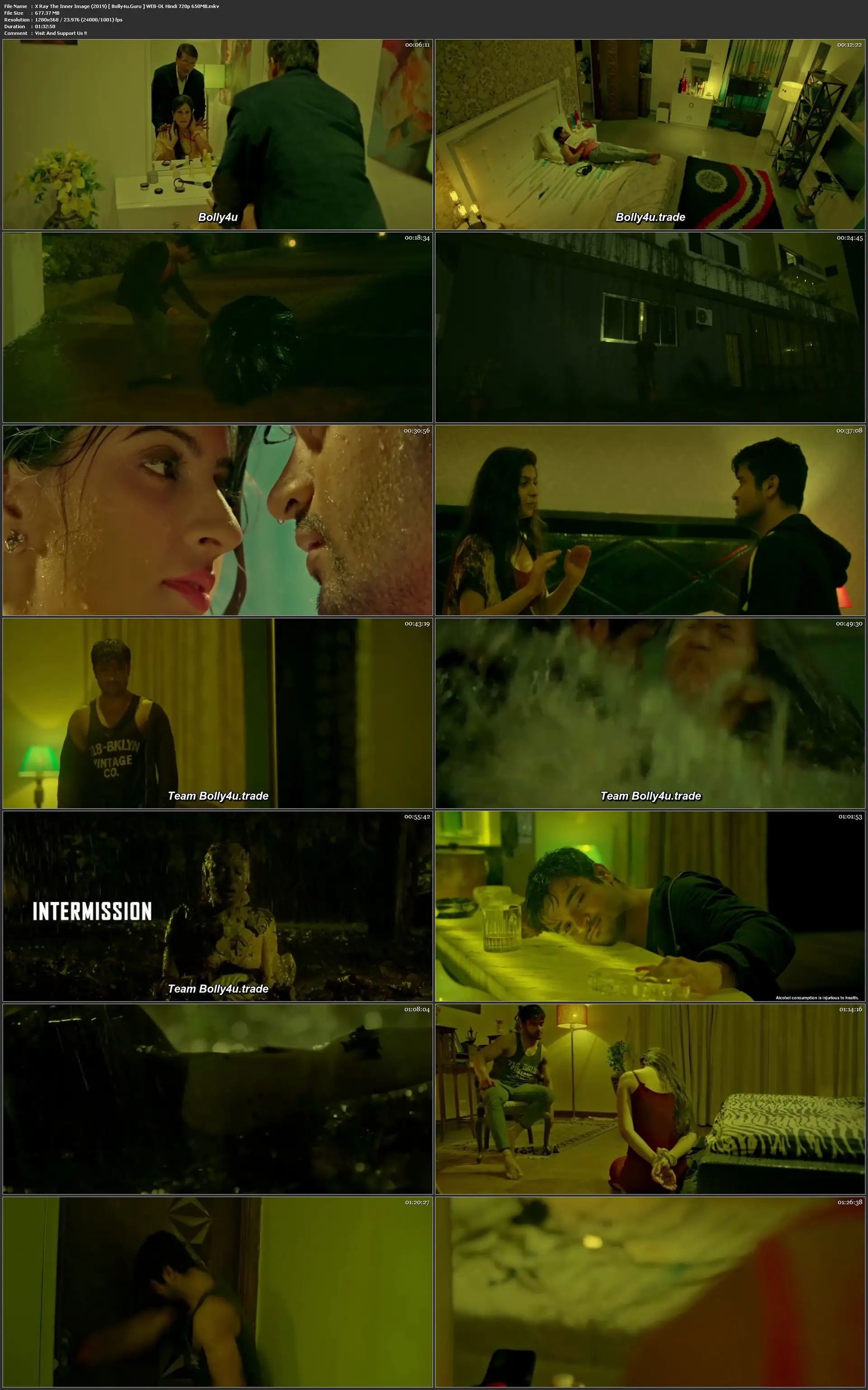 X Ray The Inner Image 2019 WEB-DL 650Mb Hindi Movie Download 720p