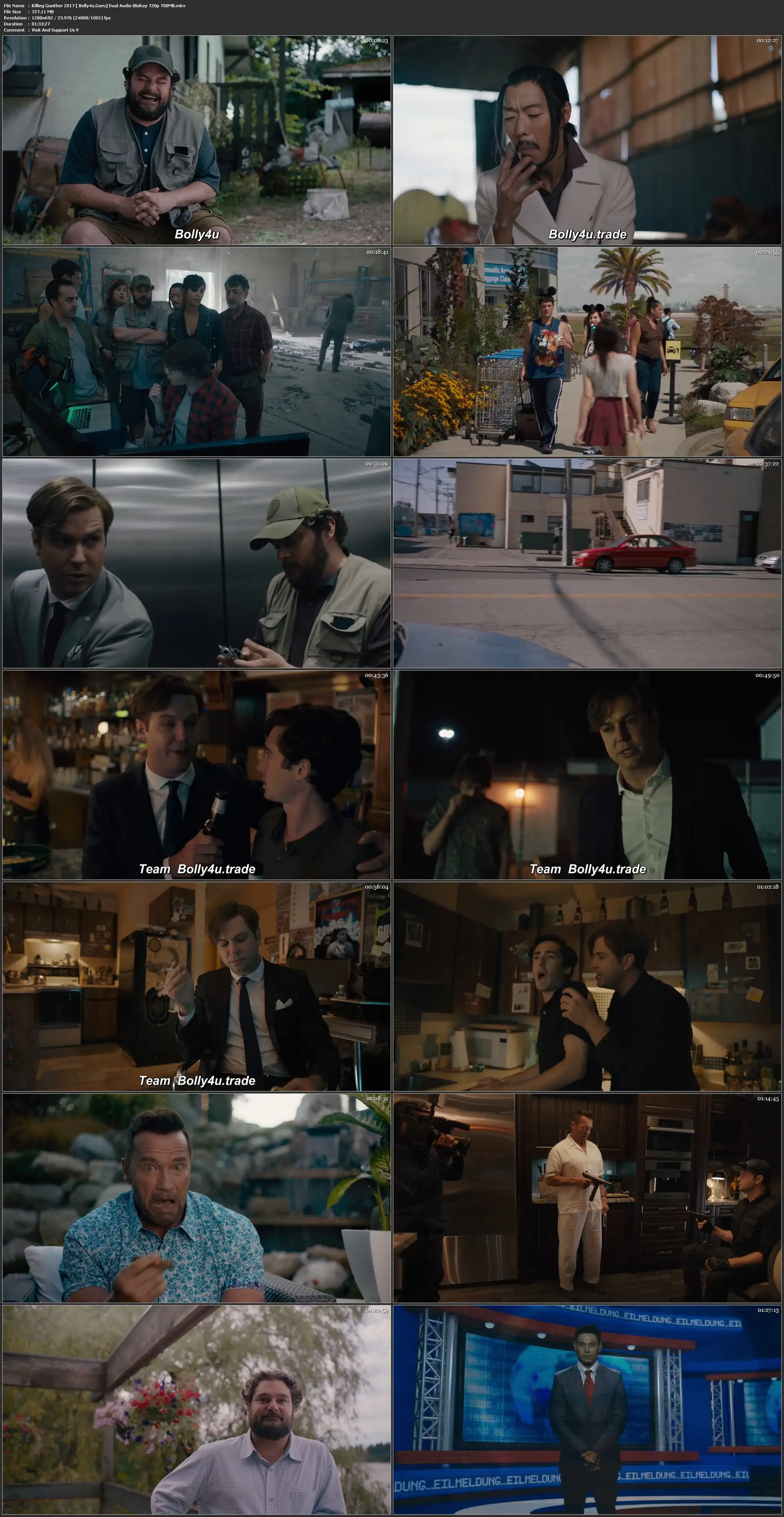 Killing Gunther 2017 BRRip 300Mb Hindi Dual Audio 480p Download