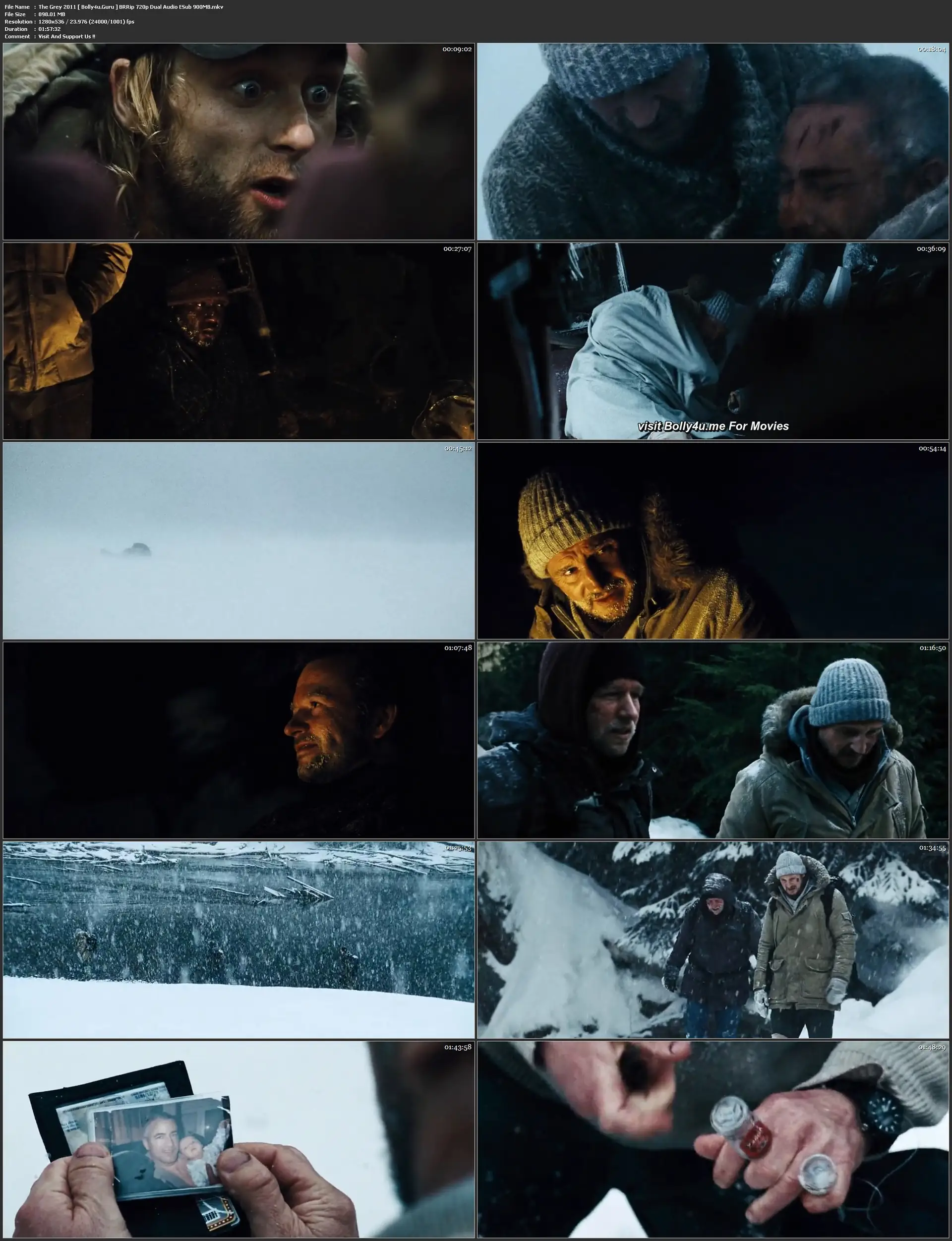 The Grey 2011 BRRip 900Mb Hindi Dual Audio 720p ESub Download
