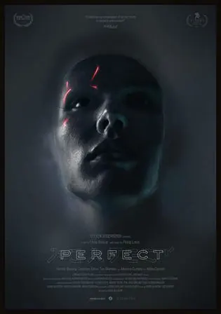 Perfect 2019 HDRip 800Mb English 720p Watch Online Full Movie Download bolly4u Perfect 2019 HDRip 800Mb English 720p Watch Online Full Movie Download bolly4u