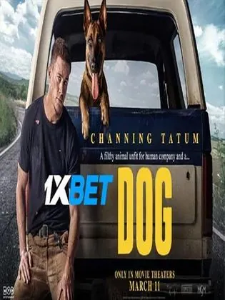 Dog 2022 WEB-HD 750MB Telugu (Voice Over) Dual Audio 720p Download Dog 2022 WEB-HD 750MB Telugu (Voice Over) Dual Audio 720p Watch Online Full Movie Download bolly4u