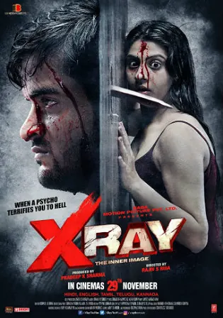 X Ray The Inner Image 2019 WEB-DL 300Mb Hindi Movie Download 480p Watch Online Free bolly4u X Ray The Inner Image 2019 WEB-DL 300Mb Hindi Movie Download 480p Watch Online Free bolly4u