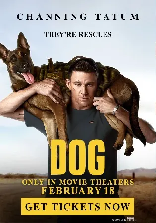 Dog 2022 WEB-DL Hindi Dual Audio ORG 720p 480p Download Watch Online Free bolly4u Dog 2022 WEB-DL Hindi Dual Audio ORG 720p 480p Download Watch Online Free bolly4u