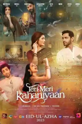 Teri Meri Kahaniyaan 2023 WEB-DL Urdu Full Movie Download 1080p | 720p | 480p poster | Bolly4u Official