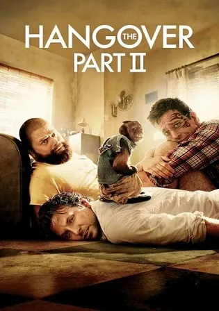 The Hangover Part II 2011 WEB-DL Hindi Dual Audio ORG Full Movie Download 1080p  720p  480p poster  Bolly4u Official